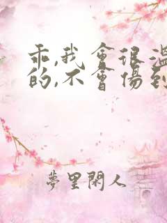 乖,我会很温柔的,不会伤到你小说