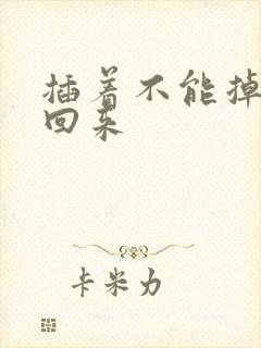 插着不能掉等我回来