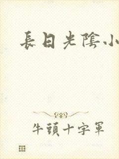 长日光阴小说
