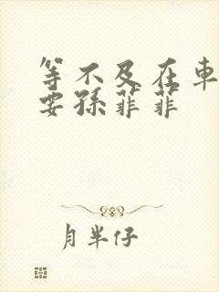 等不及在车里就要孙菲菲