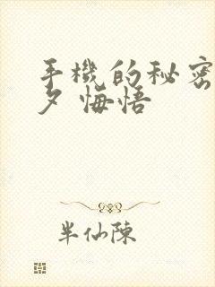 手机的秘密 七夕 悔悟