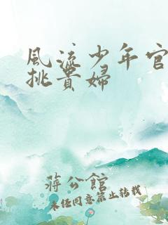 风流少年官途情挑贵妇