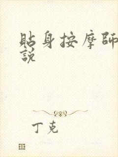 贴身按摩师 小说