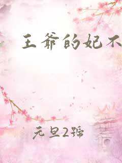 王爷的妃不是妃
