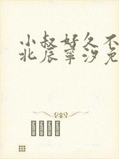 小叔好久不见顾北辰宁汐免费阅读