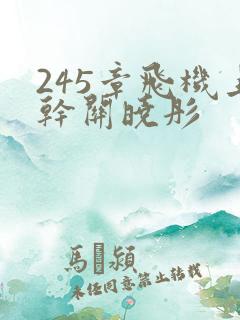 245章飞机上干关晓彤