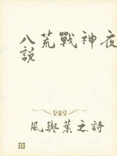 八荒战神夜麟小说