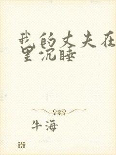 我的丈夫在冰箱里沉睡