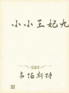 小小王妃九岁半