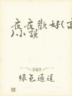 夜夜欢好(高h)小说