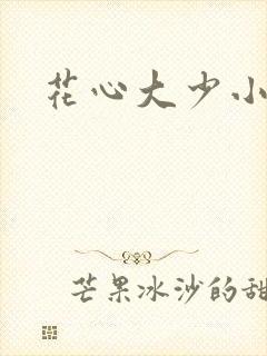 花心大少小说