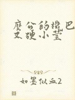 么公的机巴又粗又硬小莹