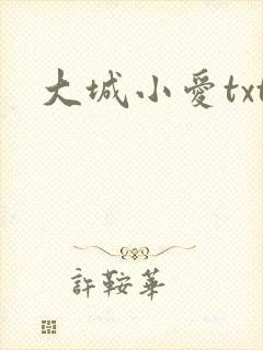 大城小爱txt