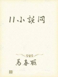 11小说网