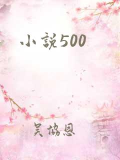 小说500