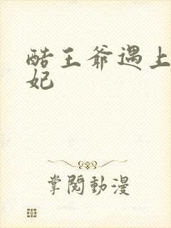 酷王爷遇上穿越妃