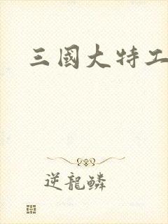 三国大特工