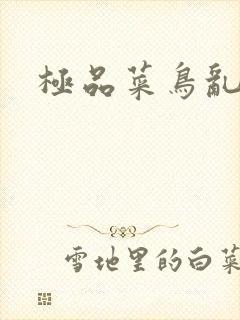 极品菜鸟乱江湖