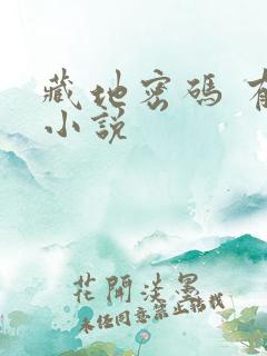 藏地密码 有声小说