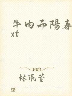 牛肉面阳春面txt