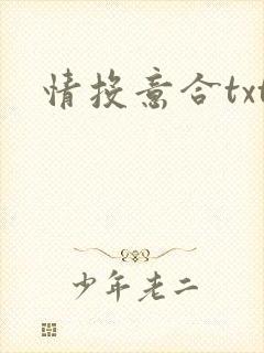 情投意合txt