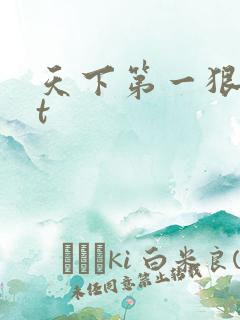 天下第一狠txt