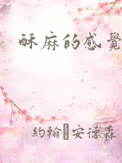 酥麻的感觉小说