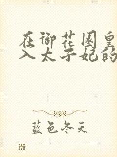 在御花园皇上进入太子妃的小说