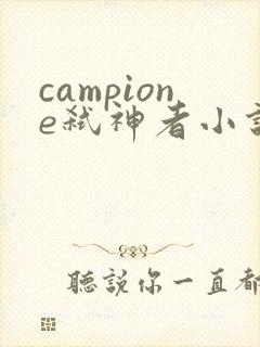 campione弑神者小说