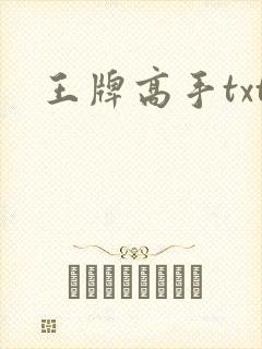 王牌高手txt