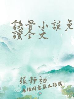 铁骨小说免费阅读全文