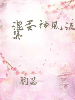 混蛋神风流史全集