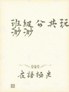 班级公共玩具叶渺渺