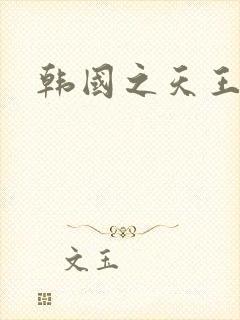 韩国之天王