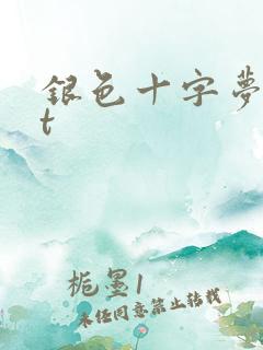 银色十字梦txt