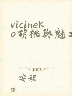 vicineko胡桃与魅之恶魔