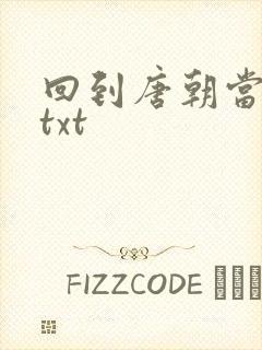 回到唐朝当皇帝txt