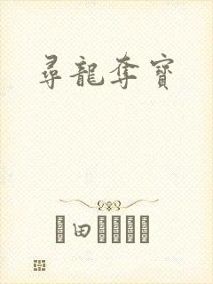 寻龙夺宝