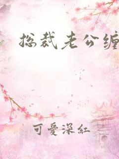 总裁老公缠上门