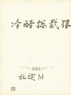 冷酷总裁狠狠爱