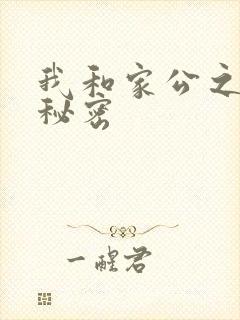 我和家公之间的秘密