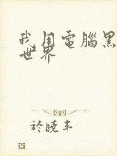 我用电脑黑了全世界