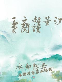 王文超董汐瑜免费阅读