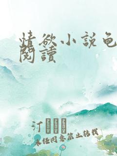 情欲小说龟全文阅读