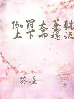 伽罗太华躺在床上下面还流东西