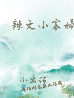 辣文小寡妇