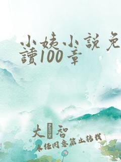 小姨小说免费阅读100章