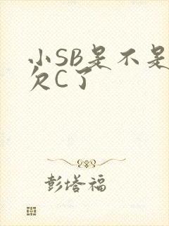 小SB是不是又欠C了