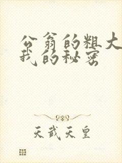 公翁的粗大放进我的秘密