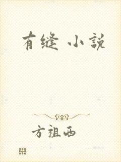 有缝 小说